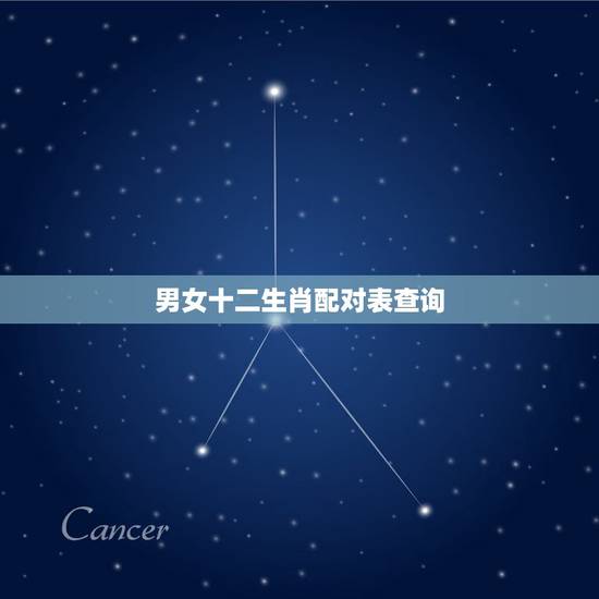 男女十二生肖配对表查询，生肖配对表