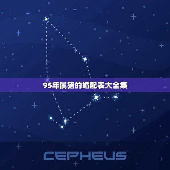 95年属猪的婚配表大全集 95年属猪的属相婚配宜忌 95年属猪的婚配表大全集 95年属猪的属相婚配宜忌