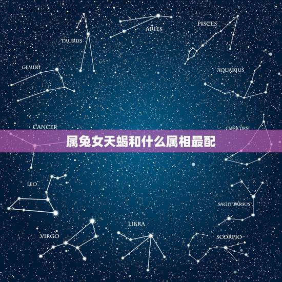 属兔女天蝎和什么属相最配，属兔天蝎女与哪个属相更配