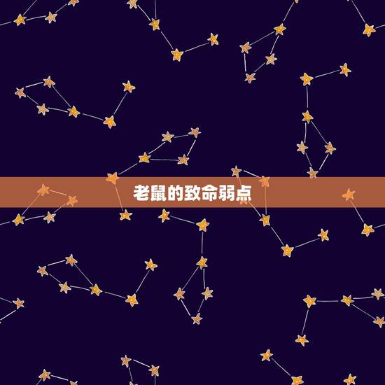 老鼠的致命弱点,致命弱点小说杨恒均 老鼠的致命弱点,致命弱点小说杨恒均