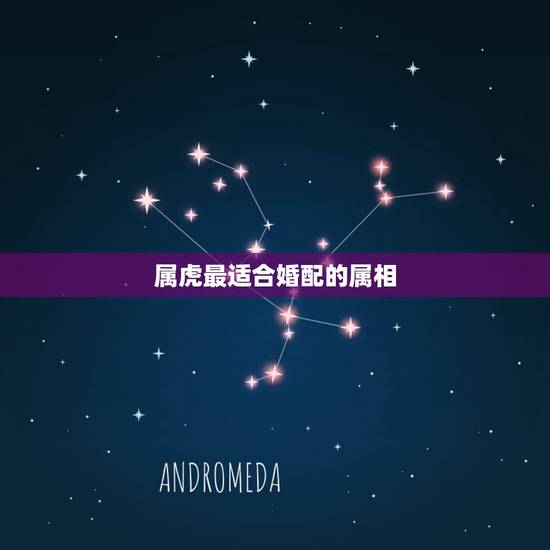 属虎最适合婚配的属相,女属虎的和什么属相最配 属虎最适合婚配的属相,女属虎的和什么属相最配