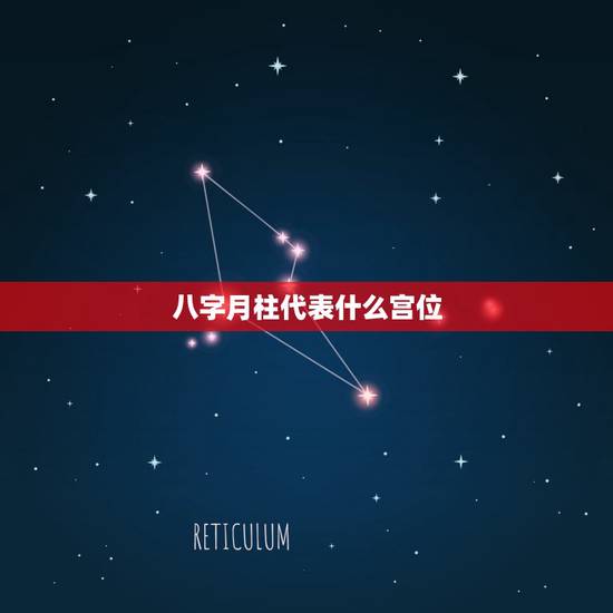 八字月柱代表什么宫位,四柱八字哪一柱最重要 八字月柱代表什么宫位,四柱八字哪一柱最重要