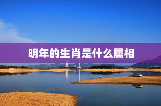 明年的生肖是什么属相,求解答,明年属相是什么,后年属相是什么。 明年的生肖是什么属相,求解答,明年属相是什么,后年属相是什么。
