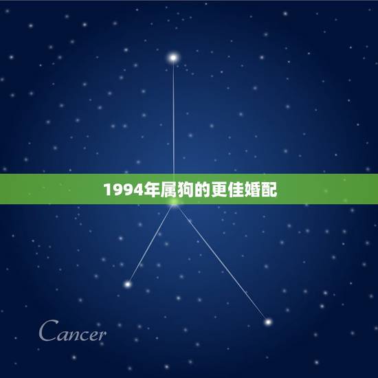 1994年属狗的更佳婚配，94年属狗女姻缘2022