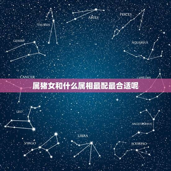 属猪女和什么属相最配最合适呢,属鸡的和什么属相最配 属猪女和什么属相最配最合适呢,属鸡的和什么属相最配