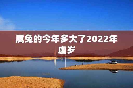 属兔的今年多大了2022年虚岁,属兔的今年多大了 属兔的今年多大了2022年虚岁,属兔的今年多大了
