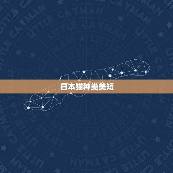 日本猫种类美短，美国短毛猫单c品种与cfa品种有什么区别？