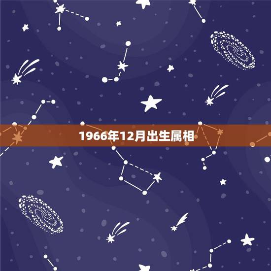 1966年12月出生属相，1966年12月出生的，属马的是什么星座