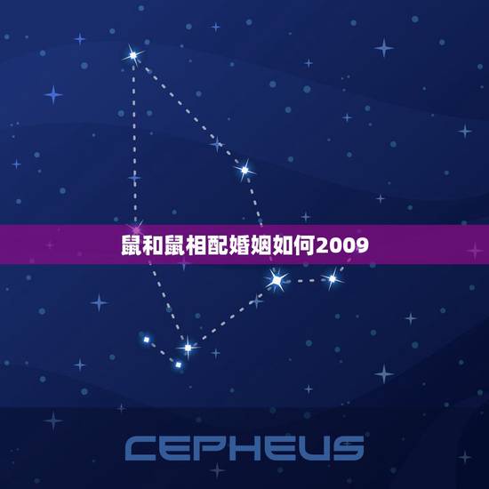 鼠和鼠相配婚姻如何2009，牛和鼠相配婚姻如何