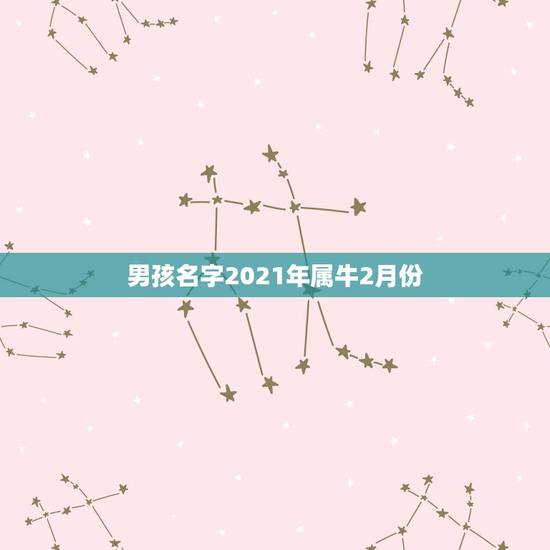 男孩名字2021年属牛2月份，2021年属牛男孩名字，适合儒雅大气的名