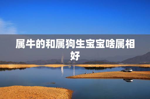 属牛的和属狗生宝宝啥属相好,属狗与什么属相相克 属牛的和属狗生宝宝啥属相好,属狗与什么属相相克