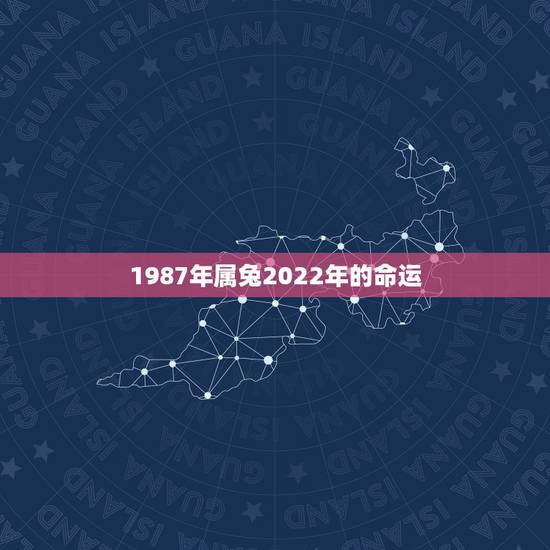 1987年属兔2022年的命运，1982年属狗是什么命