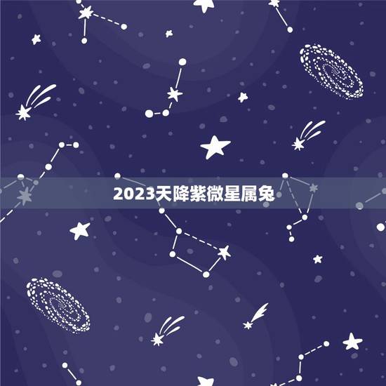 2023天降紫微星属兔