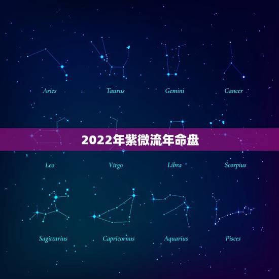 2022年紫微流年命盘,2022流年命宫武曲化忌 2022年紫微流年命盘,2022流年命宫武曲化忌