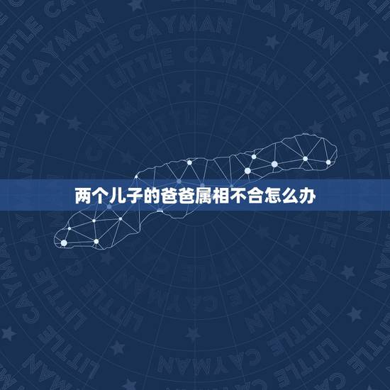 两个儿子的爸爸属相不合怎么办，爸爸和儿子不合怎么办