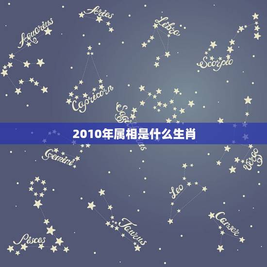 2010年属相是什么生肖，2010年是属什么生肖