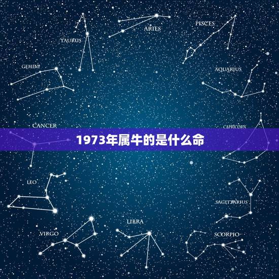 1973年属牛的是什么命，73年，属牛，是什么命？