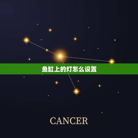 鱼缸上的灯怎么设置，鱼缸上面的灯一般什么时候开启