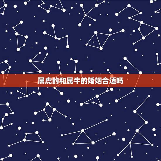 属虎的和属牛的婚姻合适吗,属牛和属虎的婚姻能过一辈子吗 属虎的和属牛的婚姻合适吗,属牛和属虎的婚姻能过一辈子吗