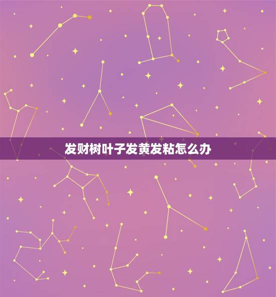 发财树叶子发黄发粘怎么办，发财树叶子发黄怎么办