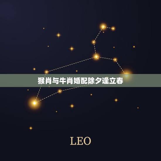 猴肖与牛肖婚配除夕逢立春,十二生肖什么生肖与什么生肖最配…… 猴肖与牛肖婚配除夕逢立春,十二生肖什么生肖与什么生肖最配……