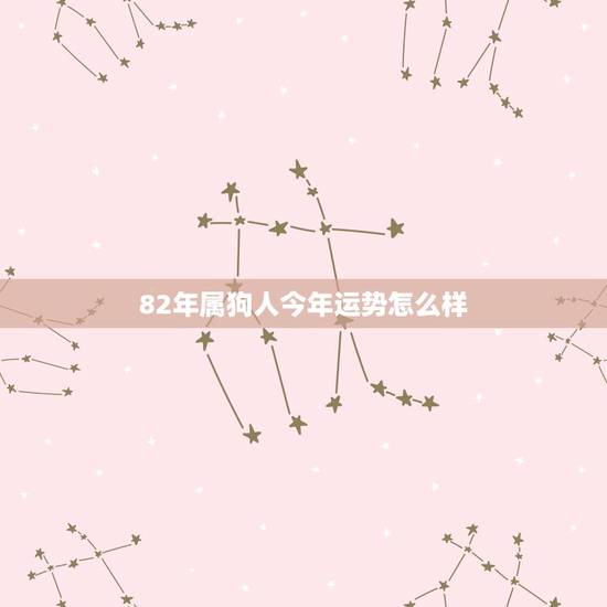 82年属狗人今年运势怎么样，1982年生肖狗的人今年运程如何