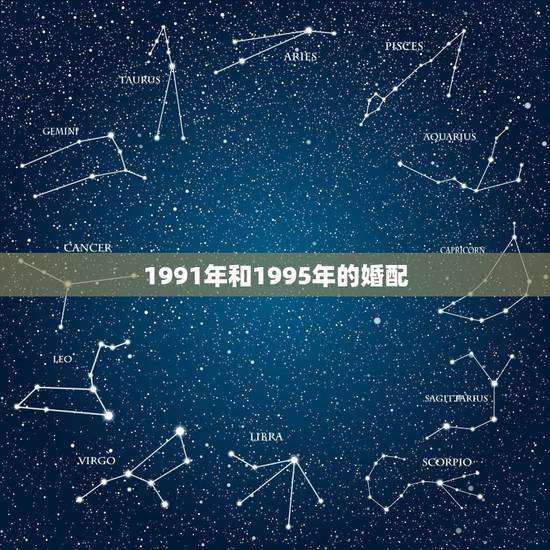 1991年和1995年的婚配,91年属羊的女性和95年属猪的男性婚配可 1991年和1995年的婚配,91年属羊的女性和95年属猪的男性婚配可