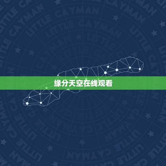 缘分天空在线观看，推荐一些欧美爱情电影