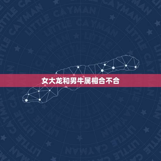 女大龙和男牛属相合不合，男牛女龙合不合呀？