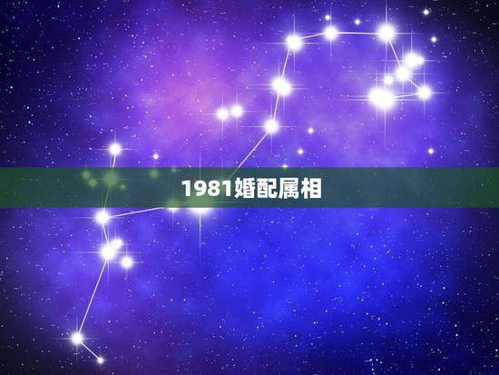 1981婚配属相，1981年属鸡男和什么属相女结婚合适？