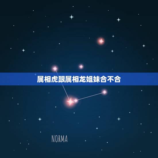 属相虎跟属相龙姐妹合不合,虎和龙的属相合不合 属相虎跟属相龙姐妹合不合,虎和龙的属相合不合