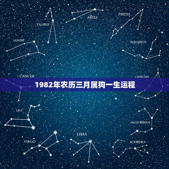 1982年农历三月属狗一生运程，82年属狗有三大难