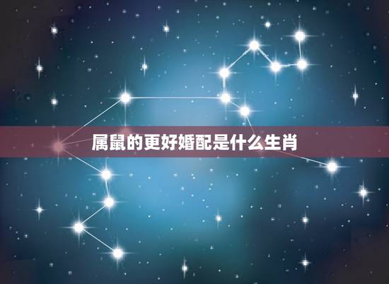 属鼠的更好婚配是什么生肖，生肖鼠跟谁结婚更好