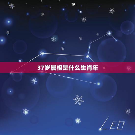 37岁属相是什么生肖年,年龄与生肖:2016年37岁属什么生肖 37岁属相是什么生肖年,年龄与生肖:2016年37岁属什么生肖