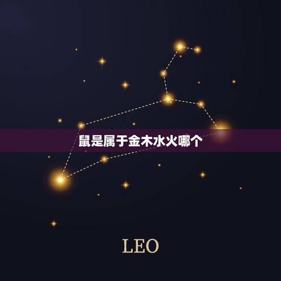 鼠是属于金木水火哪个,金木水火打一字是什么 鼠是属于金木水火哪个,金木水火打一字是什么