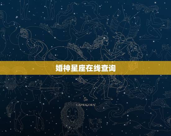 婚神星座在线查询，如何查询婚神星