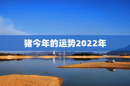 猪今年的运势2022年,属猪人今年的运势怎么样猪今年运势 猪今年的运势2022年,属猪人今年的运势怎么样猪今年运势