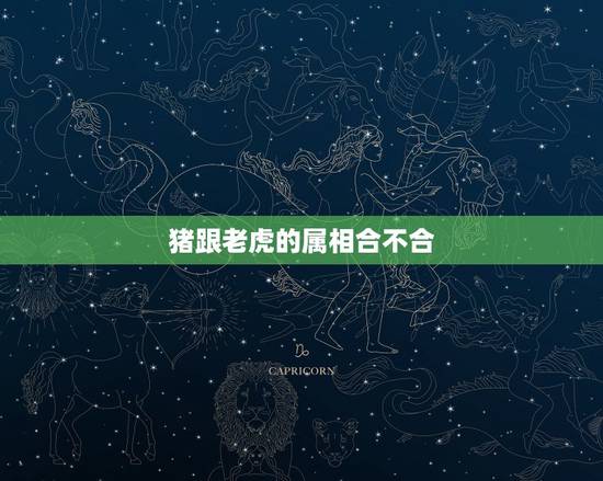 猪跟老虎的属相合不合,虎女和猪男和不合 猪跟老虎的属相合不合,虎女和猪男和不合