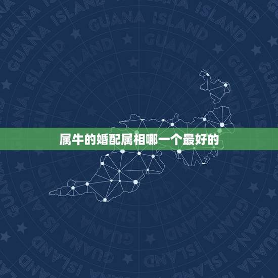 属牛的婚配属相哪一个最好的，属牛的，属相和哪个属相最配？