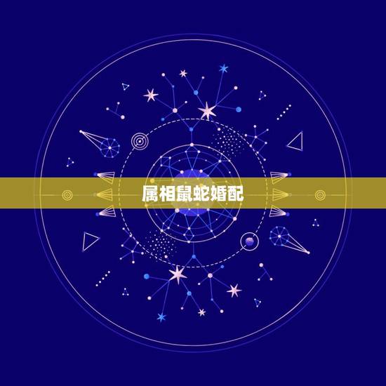 属相鼠蛇婚配,属蛇的属相婚配表,属蛇的和什么属相最配,属蛇的属 属相鼠蛇婚配,属蛇的属相婚配表,属蛇的和什么属相最配,属蛇的属