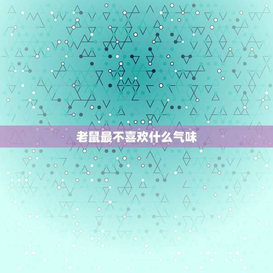 老鼠最不喜欢什么气味,梦见被老鼠咬是什么意思 老鼠最不喜欢什么气味,梦见被老鼠咬是什么意思