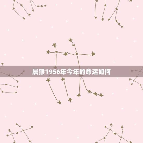 属猴1956年今年的命运如何，属猴1956年4月22日在2o16年运程