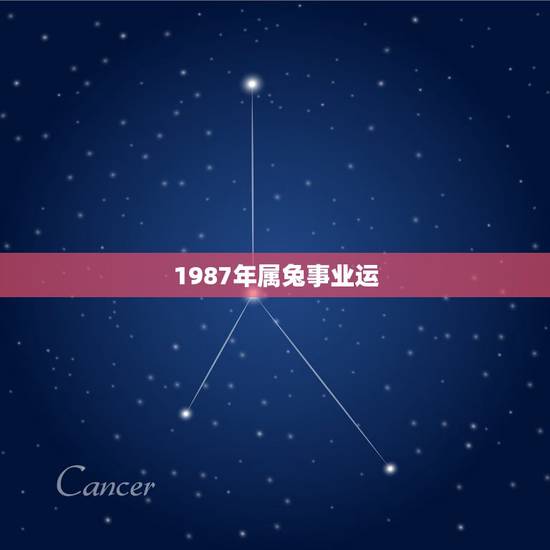 1987年属兔事业运,属兔2022 年运势及运程 1987年属兔事业运,属兔2022 年运势及运程