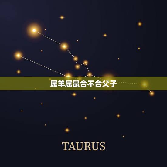 属羊属鼠合不合父子,父亲属羊子女属鼠相冲吗 属羊属鼠合不合父子,父亲属羊子女属鼠相冲吗