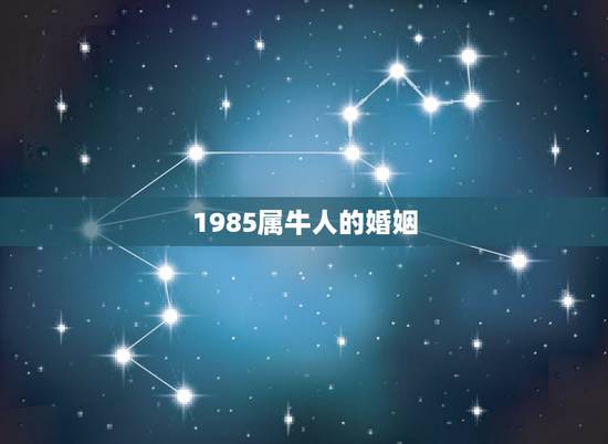 1985属牛人的婚姻 1985年属牛人婚配 1985属牛人的婚姻 1985年属牛人婚配