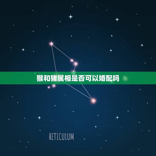 猴和猪属相是否可以婚配吗,属猴的和属猪的好不好 猴和猪属相是否可以婚配吗,属猴的和属猪的好不好