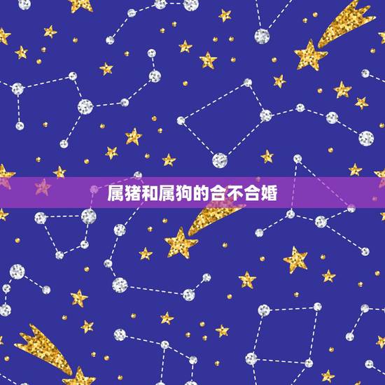属猪和属狗的合不合婚，属狗跟属猪的合不合
