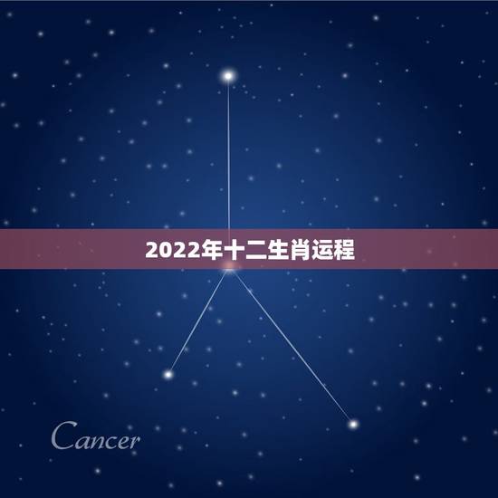 2022年十二生肖运程 2022年运势最好的生肖