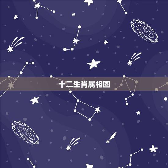 十二生肖属相图，12生肖波色图