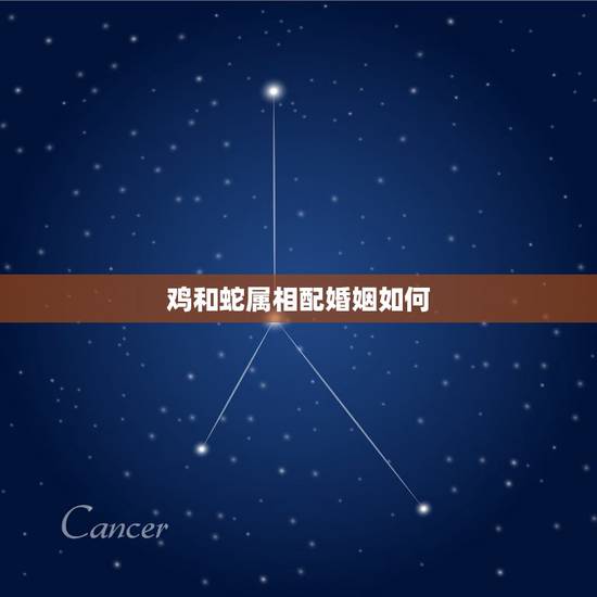 鸡和蛇属相配婚姻如何,89属蛇和69属鸡婚姻怎么样 鸡和蛇属相配婚姻如何,89属蛇和69属鸡婚姻怎么样